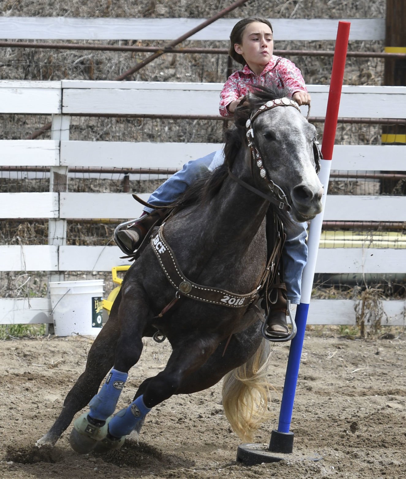 Brodie Scoville